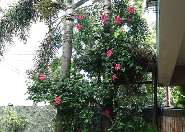 Mb's Garden * Lapu-Lapu City